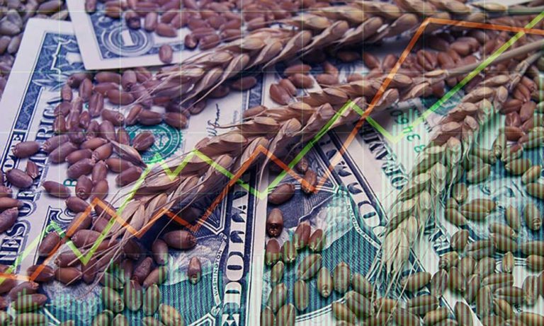 Buğday Fiyatları Ukrayna Baraj Saldırısı Sonrası Yükseldi