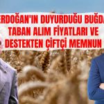 IAOM: Buğday Fiyatındaki Artış Piyasa Beklentisini Karşıladı