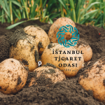 İstanbul’da Mayıs Ayının Zam Şampiyonu Patates Oldu