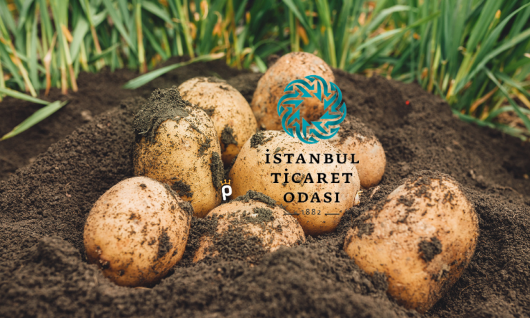 İstanbul’da Mayıs Ayının Zam Şampiyonu Patates Oldu