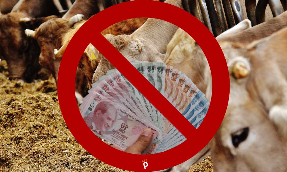 Kurban Kesiminde Kurallara Uymayanlara Para Cezası Kesilecek