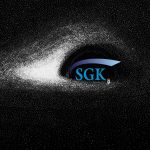 SGK’daki Kara Deliğe 500 Milyar TL’den Fazla Transfer Bekleniyor