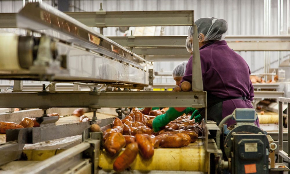 Suudi Arabistan’dan 20 Milyar Dolarlık Gıda Endüstrisi Yatırımı