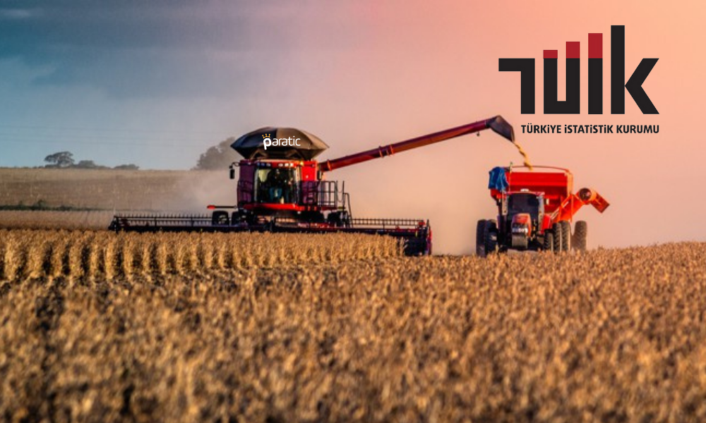 Tarım Üretici Enflasyonu Mayıs’ta Yüzde 50,79 Arttı