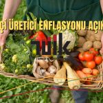 Üretici Enflasyonundaki Artış Mayıs’ta Yüzde 40,76’ya Geriledi