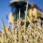 Tarım Bakanlığından 1200 Projeye 300 Milyon TL Hibe Verilecek