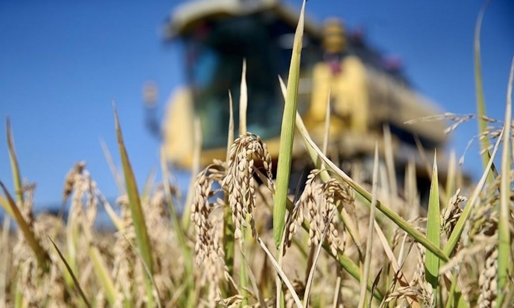 Tarım Bakanlığından 1200 Projeye 300 Milyon TL Hibe Verilecek