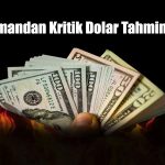 Uzmandan Dolar Tahmini: 25 – 30 TL Arasında Dengelenecek