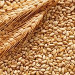 ABD: Tahıl Konusunda Erdoğan-Putin Görüşmesinden Umutluyuz