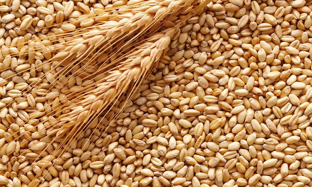 ABD: Tahıl Konusunda Erdoğan-Putin Görüşmesinden Umutluyuz