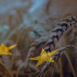 AB’den Tahıl Koridoru Anlaşmasına Yönelik Çağrı