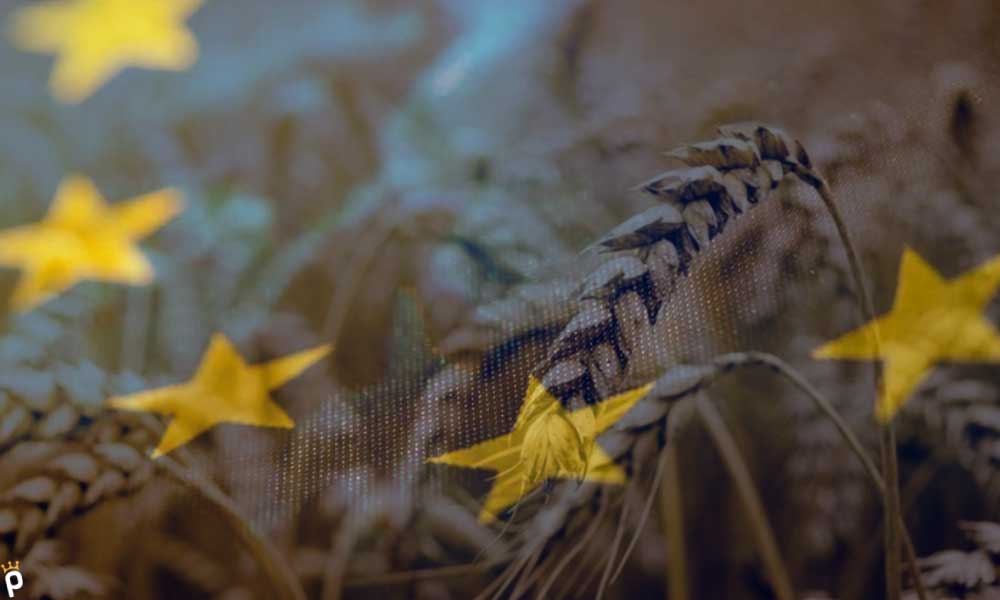 AB’den Tahıl Koridoru Anlaşmasına Yönelik Çağrı