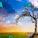 AB’den Toprağın Korunması ve İyileştirilmesi için Yeni Yasa