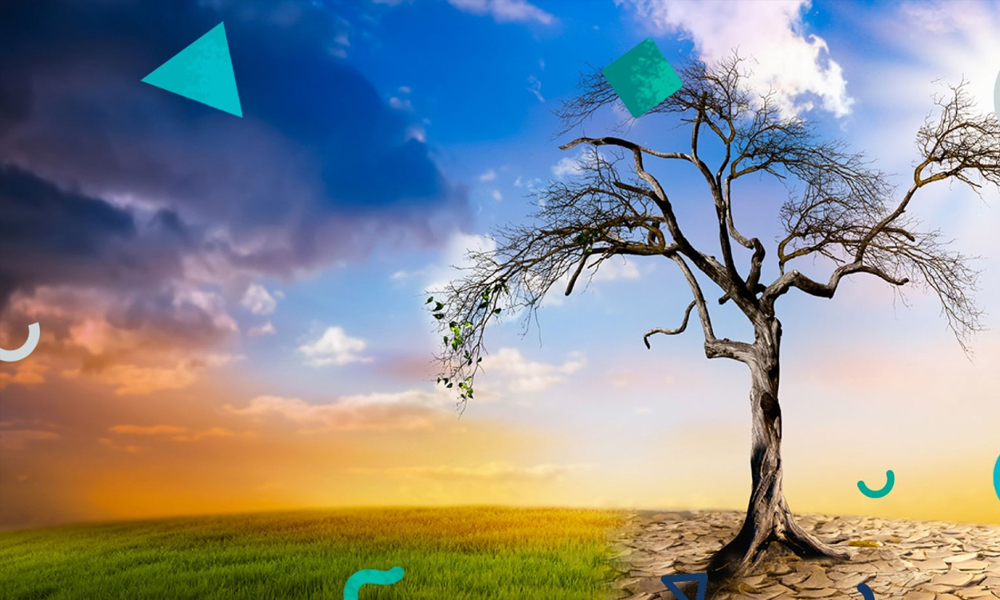 AB’den Toprağın Korunması ve İyileştirilmesi için Yeni Yasa