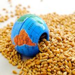 Avrupa Birliği Uyardı: Büyük Bir Gıda Krizi Olacak