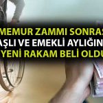 Bakan Göktaş Yaşlı ve Engelli Aylığında Yeni Rakamı Açıkladı