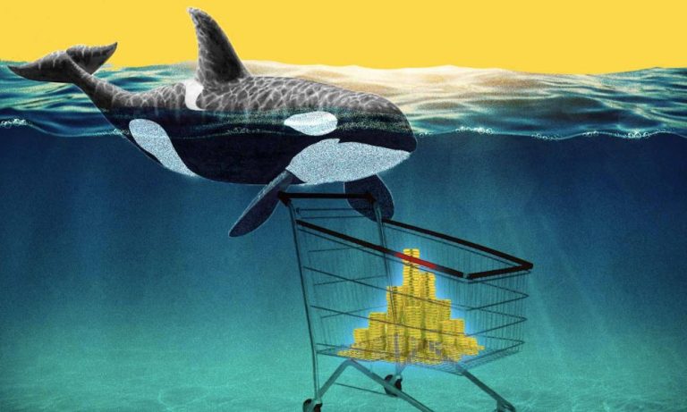 Santiment: Balinalar Gizlice Bu İki Kripto Parayı Biriktiriyor