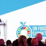 BM Genel Sekreterinden Rusya’ya Çağrı: Tahıl Anlaşmasına Geri Dönün