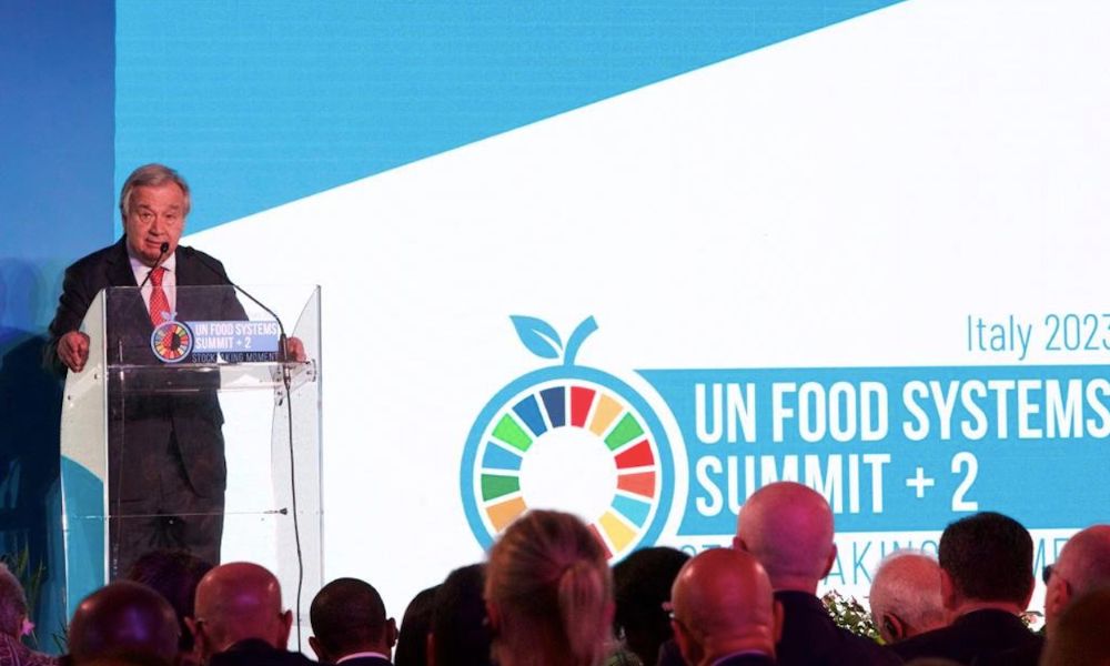 BM Genel Sekreterinden Rusya’ya Çağrı: Tahıl Anlaşmasına Geri Dönün