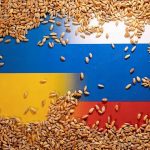 BM: Kimse Tahıl Gemileri için Güvenlik Talep Edemez