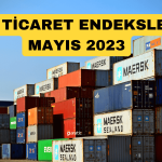 Dış Ticaret Haddi Mayıs’ta Artışını Devam Ettirdi