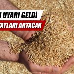 IMF’den Uyarı Geldi! Tahıl Fiyatları Yüzde 15 Artacak