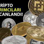 Kripto Piyasasında Sert Hareketler: Bitcoin Son Bir Yılın Zirvesini Gördü