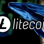 Halvinge Sayılı Günler Kala Litecoin Balinaları Harekete Geçti