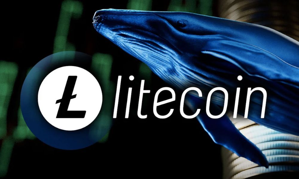 Halvinge Sayılı Günler Kala Litecoin Balinaları Harekete Geçti