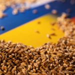 Tahıl Koridoru Anlaşması Bugün İtibarıyla Askıya Alındı