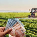 Bakanlık: Çiftçilere 96 Milyon Lira Destek Ödemesi Yapılacak