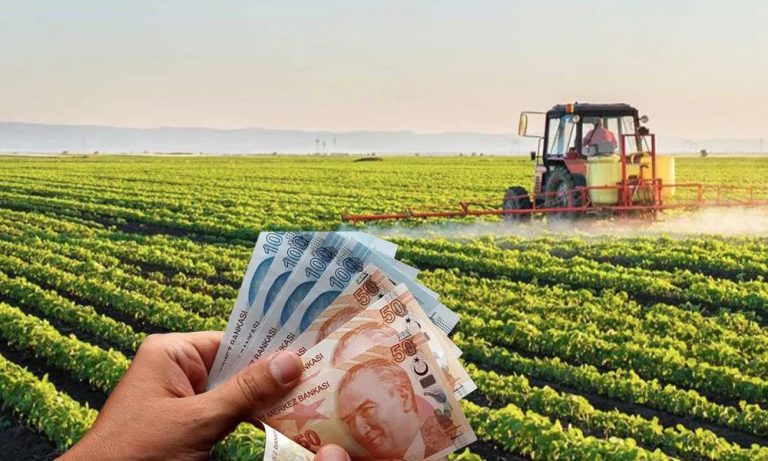 Bakanlık: Çiftçilere 96 Milyon Lira Destek Ödemesi Yapılacak