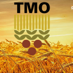 TMO Genel Müdürü Güldal: Ürünlerin Hepsi Alınacak