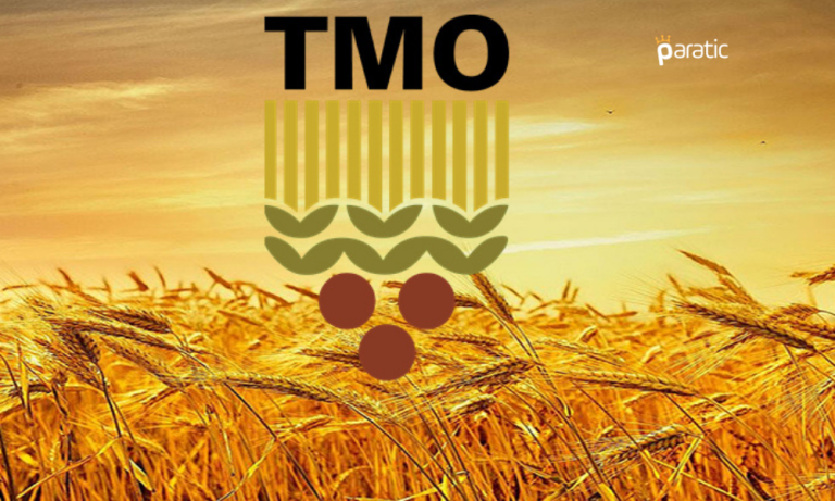 TMO Genel Müdürü Güldal: Ürünlerin Hepsi Alınacak