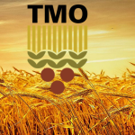 TMO Uyardı! Dolandırıcılara Dikkat!