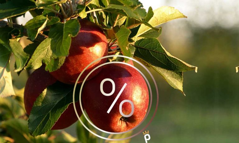 TZOB Başkanı Açıkladı: Elma Markette Yüzde 338 Pahalıya Satıldı