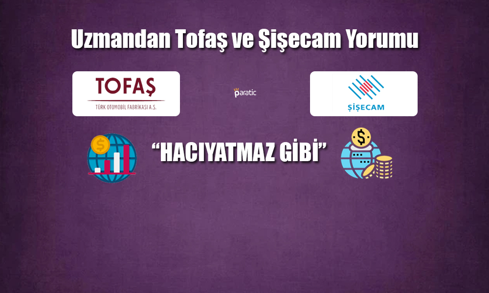 Uzmandan Tofaş ve Şişecam Yorumu: Hacıyatmaz Gibi