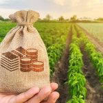 163 Milyon TL Tarımsal Destek Hesaplara Yatırıldı