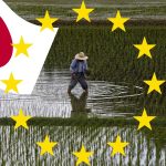 AB Japonya’ya Uyguladığı İthalat Kısıtlamalarını Kaldırdı