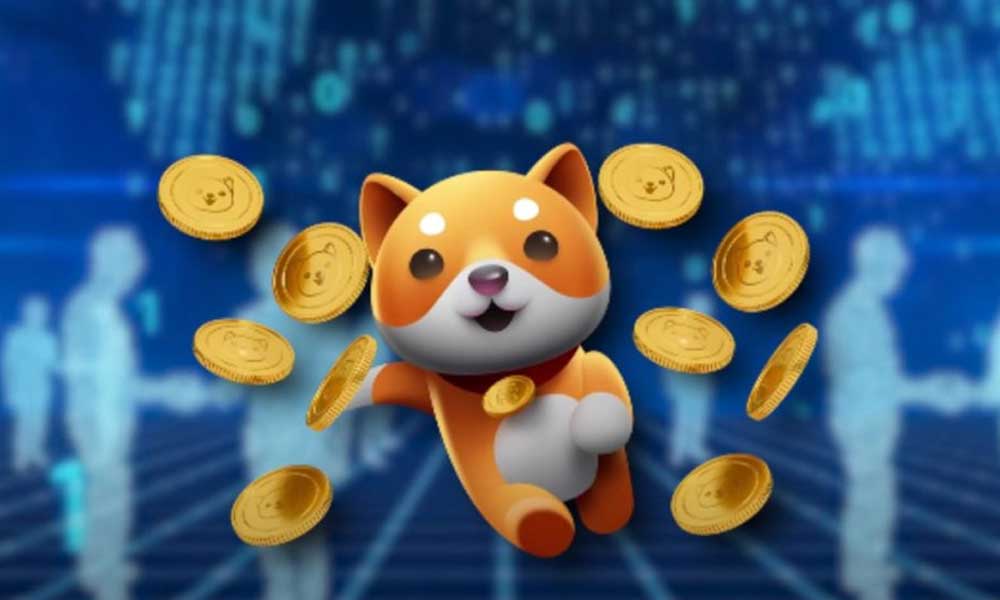 Baby Musk Coin Alanların Altından Halıyı Çektiler: Yüzde 99 Düşüş!