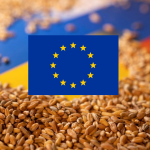 Bazı AB Ülkelerinden Türkiye ve BM’nin Çabalarına Destek Geldi