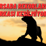 Borsada Coşku Arttı! BIST 100 Endeksi 8000’e Gidiyor