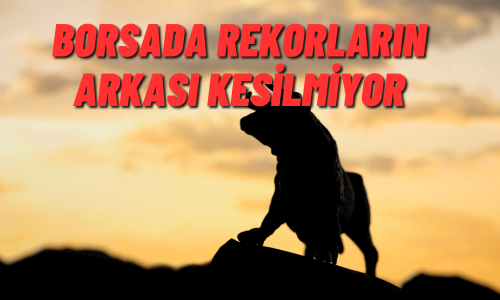 Borsada Coşku Arttı! BIST 100 Endeksi 8000’e Gidiyor
