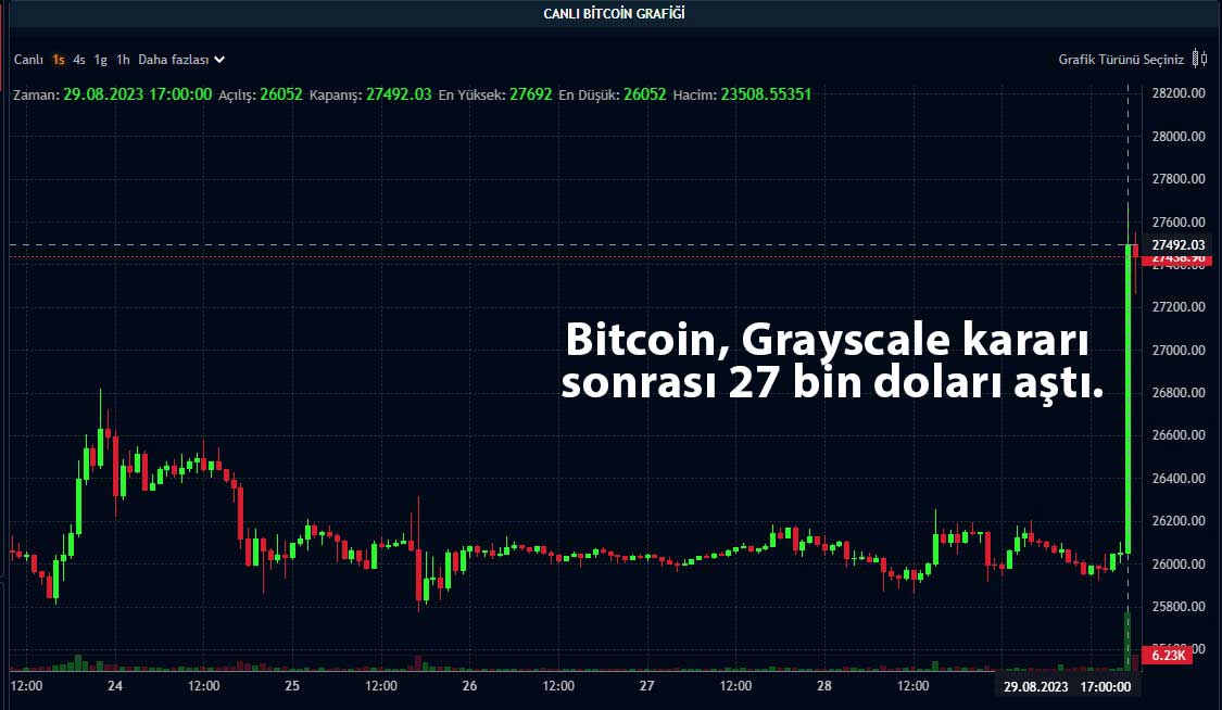 Bitcoin saatlik grafik