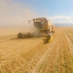 Cumhurbaşkanlığı Yetkilisinden İddialara Tepki! “Gizli Anlaşma Yok”