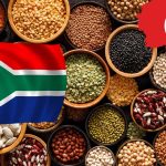 Güneydoğulu İhracatçılar Afrika Pazarına Yöneldi