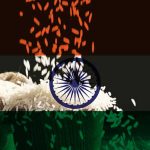 Hindistan’ın Olası Pirinç Kısıtlaması Arz Endişelerini Artırabilir