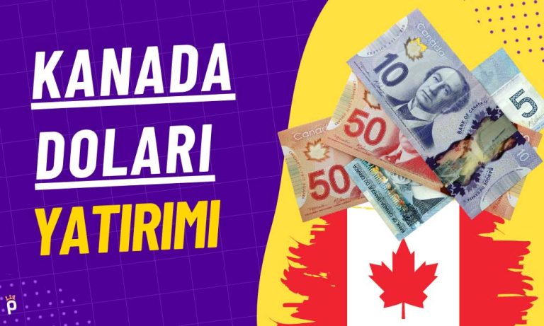 Kanada Doları Nedir Yatırımı Nasıl Yapılır?