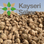 Kayseri Şeker Kota Tahsisinde İkinci Sıraya Yükseldi