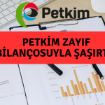Petkim’in Satışları ve Net Karı 2Ç23’te Sert Düştü